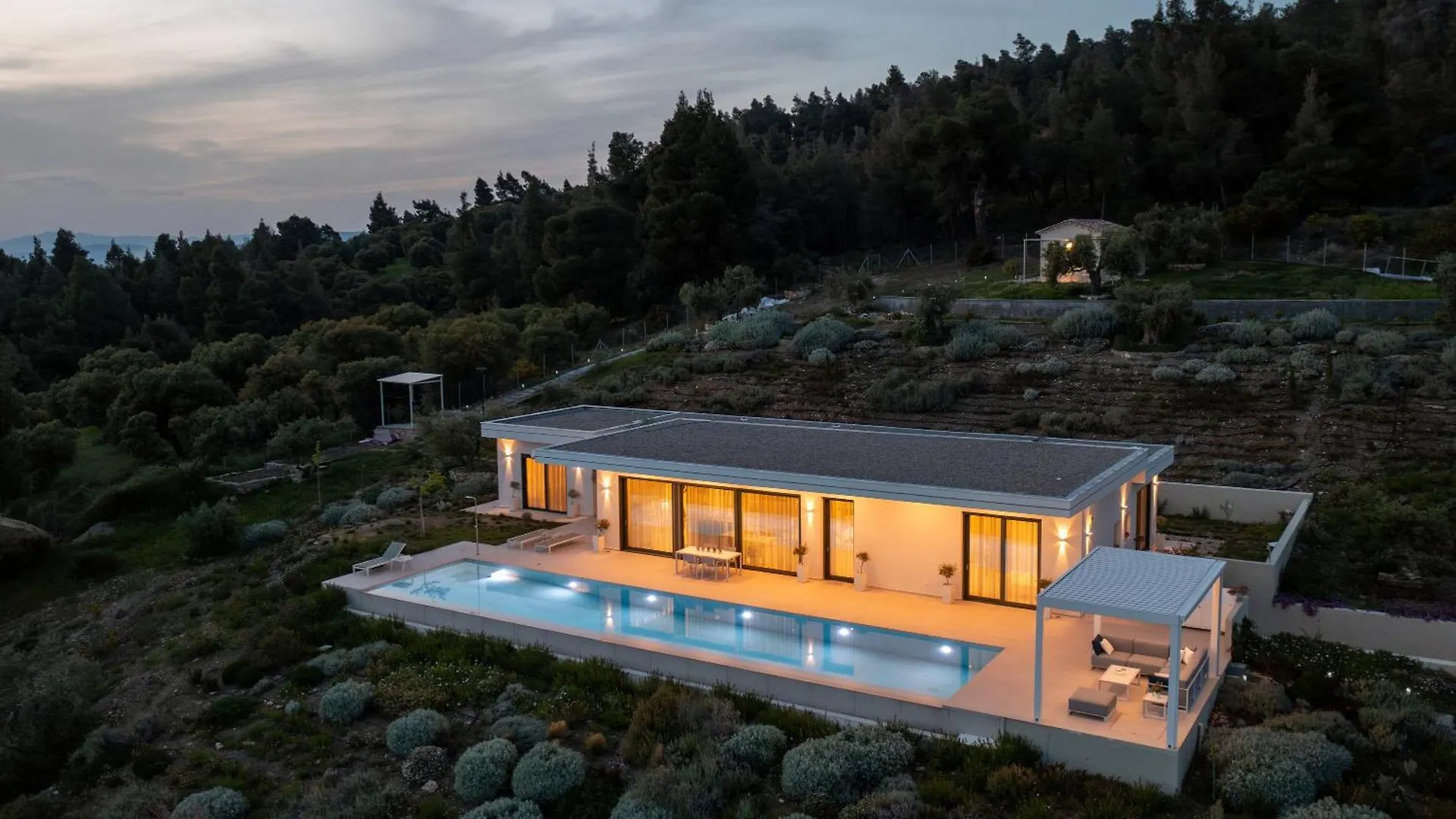 Olive Grove Suites - Villas With Private Pool And Garden Никити
