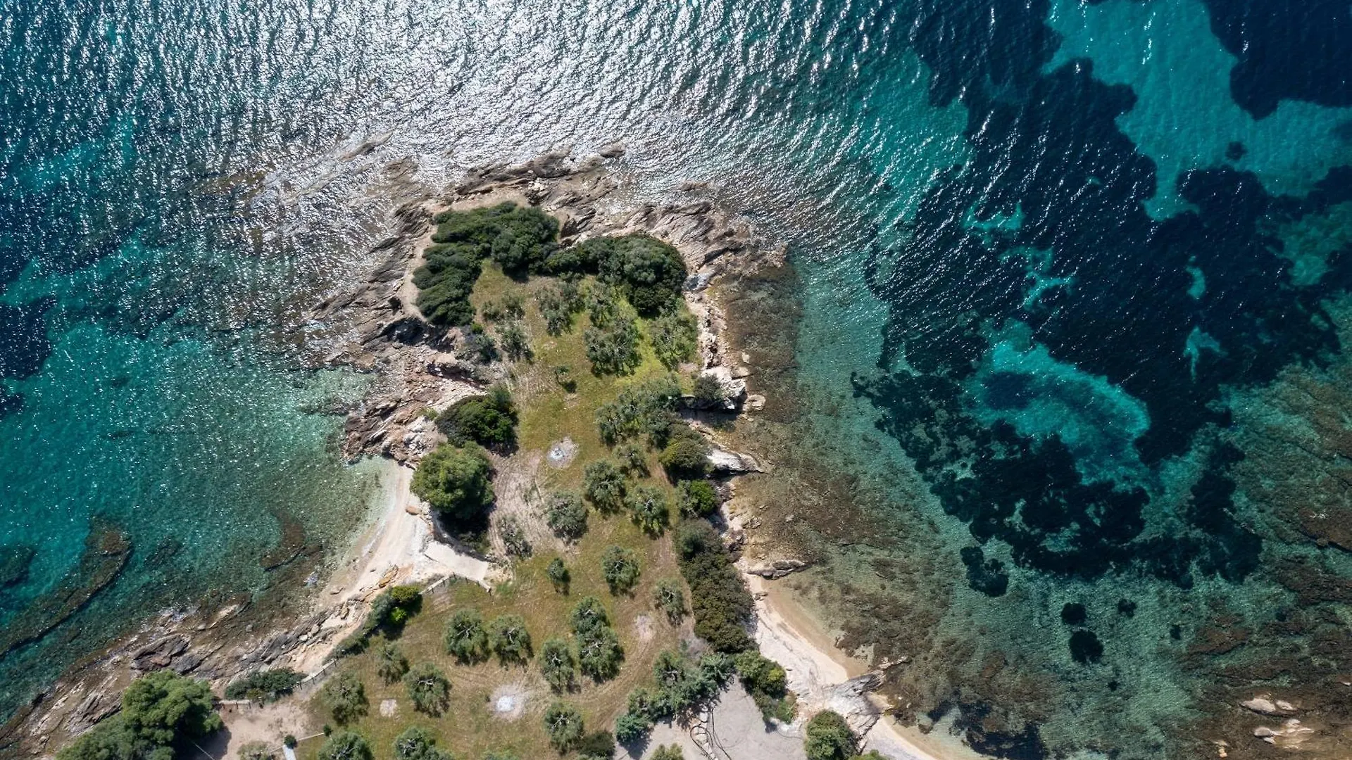 Olive Grove Suites - Villas With Private Pool And Garden Никити Греция