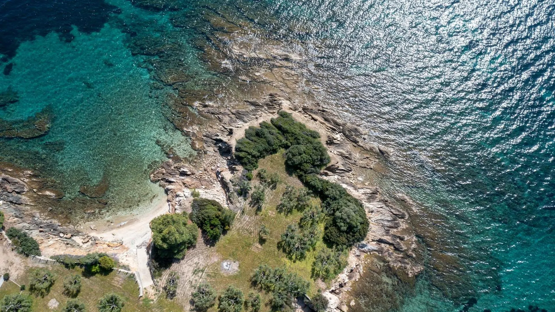 Olive Grove Suites - Villas With Private Pool And Garden Никити