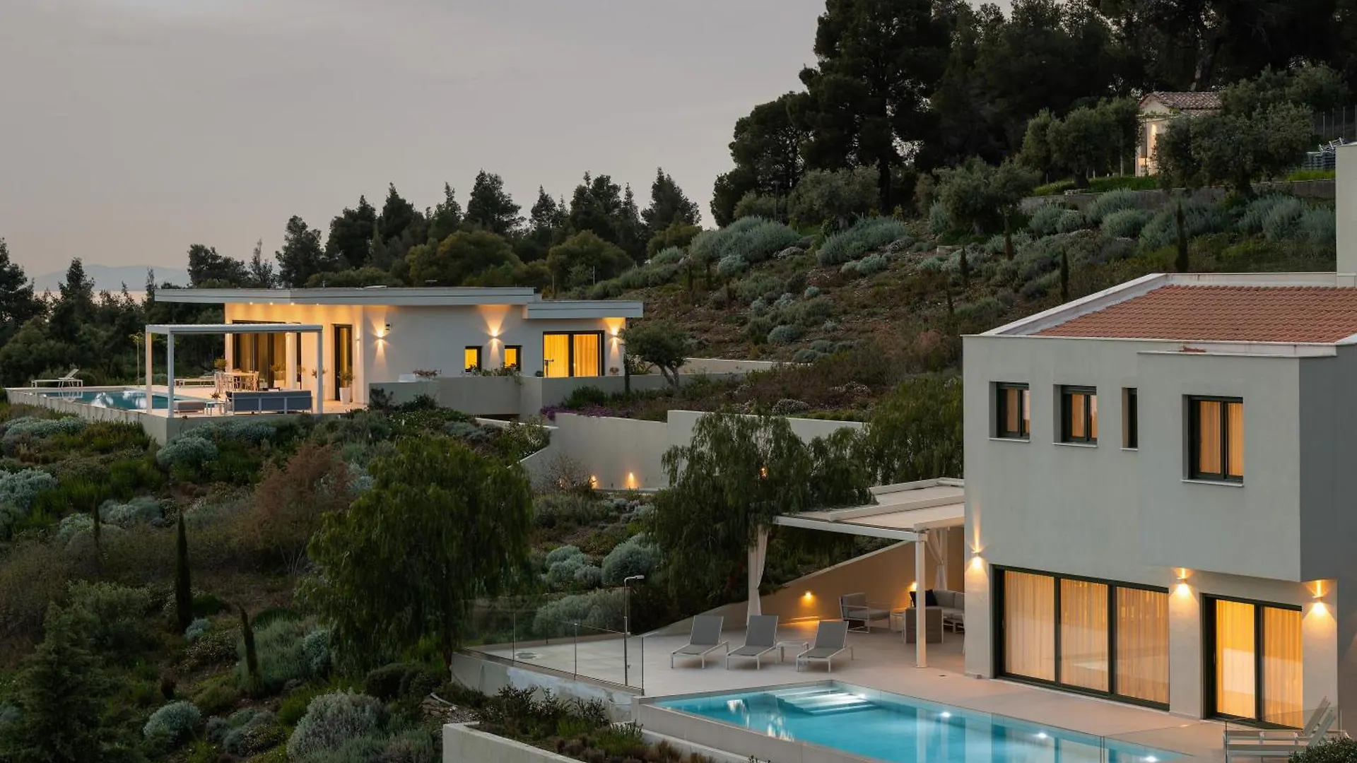 Olive Grove Suites - Villas With Private Pool And Garden Никити