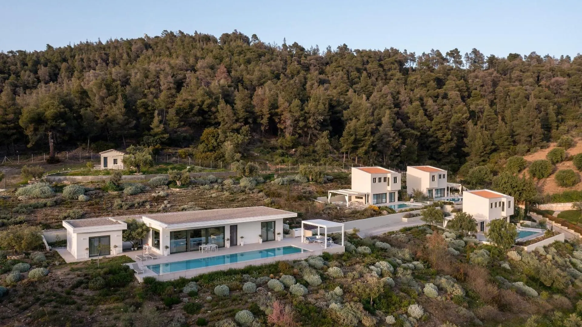 Olive Grove Suites - Villas With Private Pool And Garden Никити