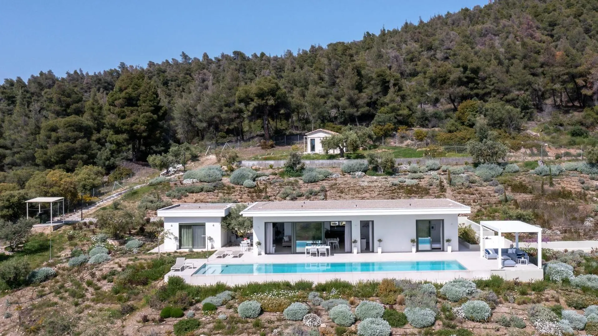 Olive Grove Suites - Villas With Private Pool And Garden Никити