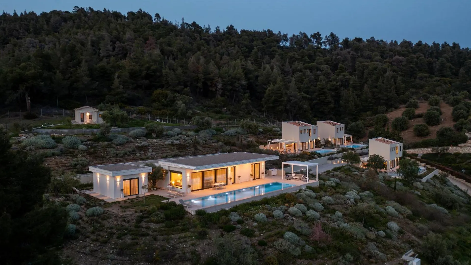 Olive Grove Suites - Villas With Private Pool And Garden Никити 0*,