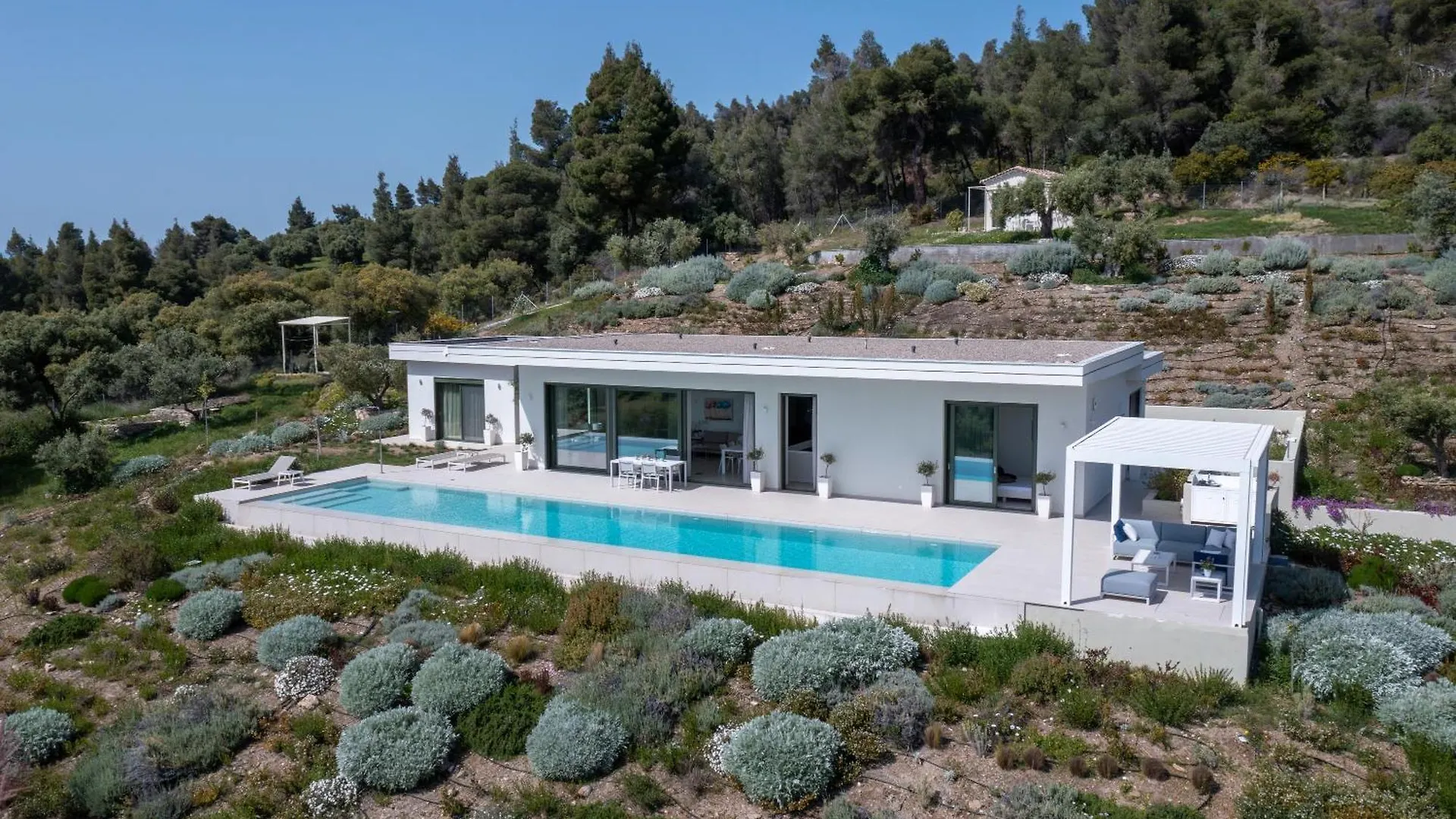 Olive Grove Suites - Villas With Private Pool And Garden Νικήτη