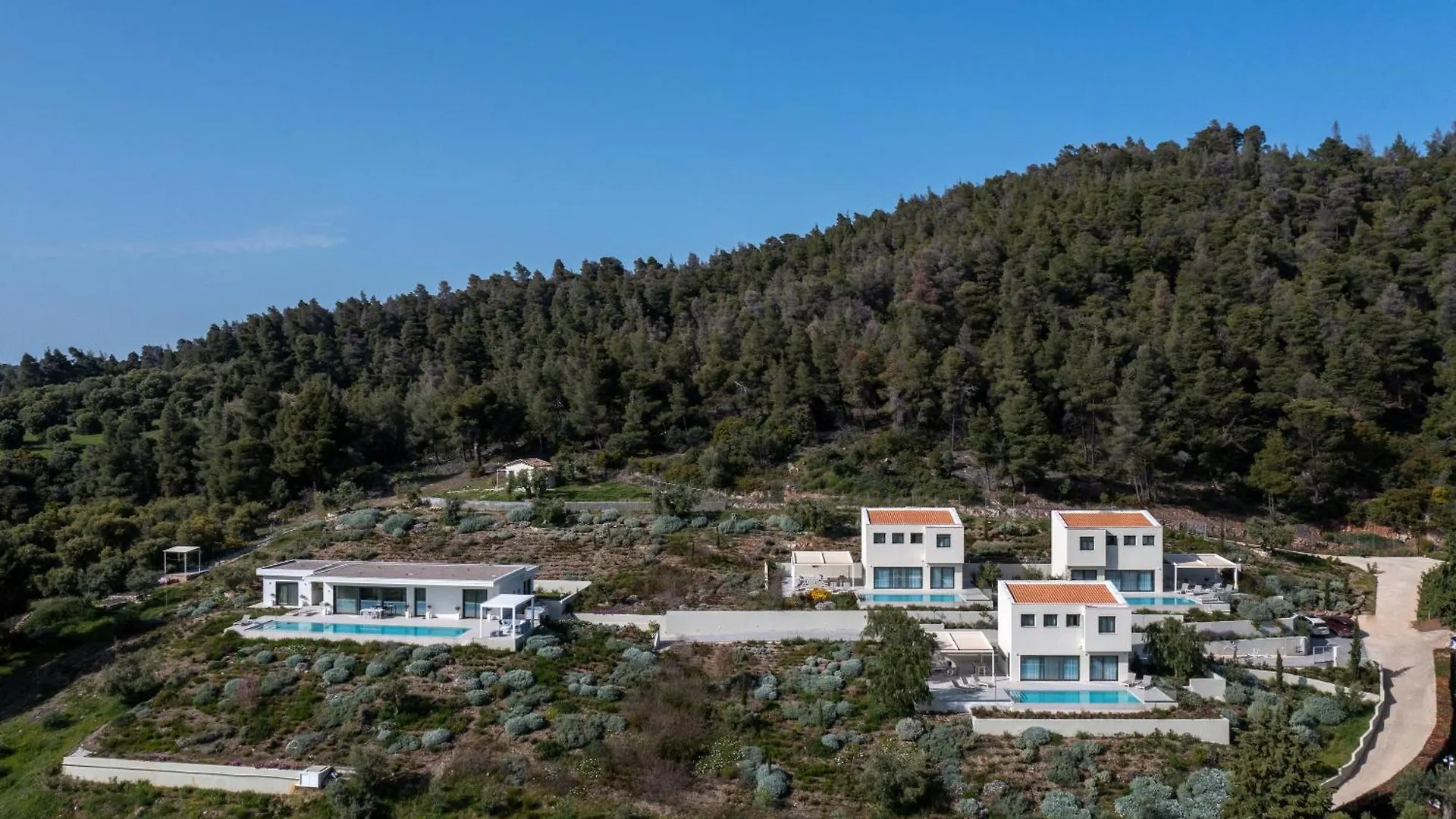 Olive Grove Suites - Villas With Private Pool And Garden Νικήτη