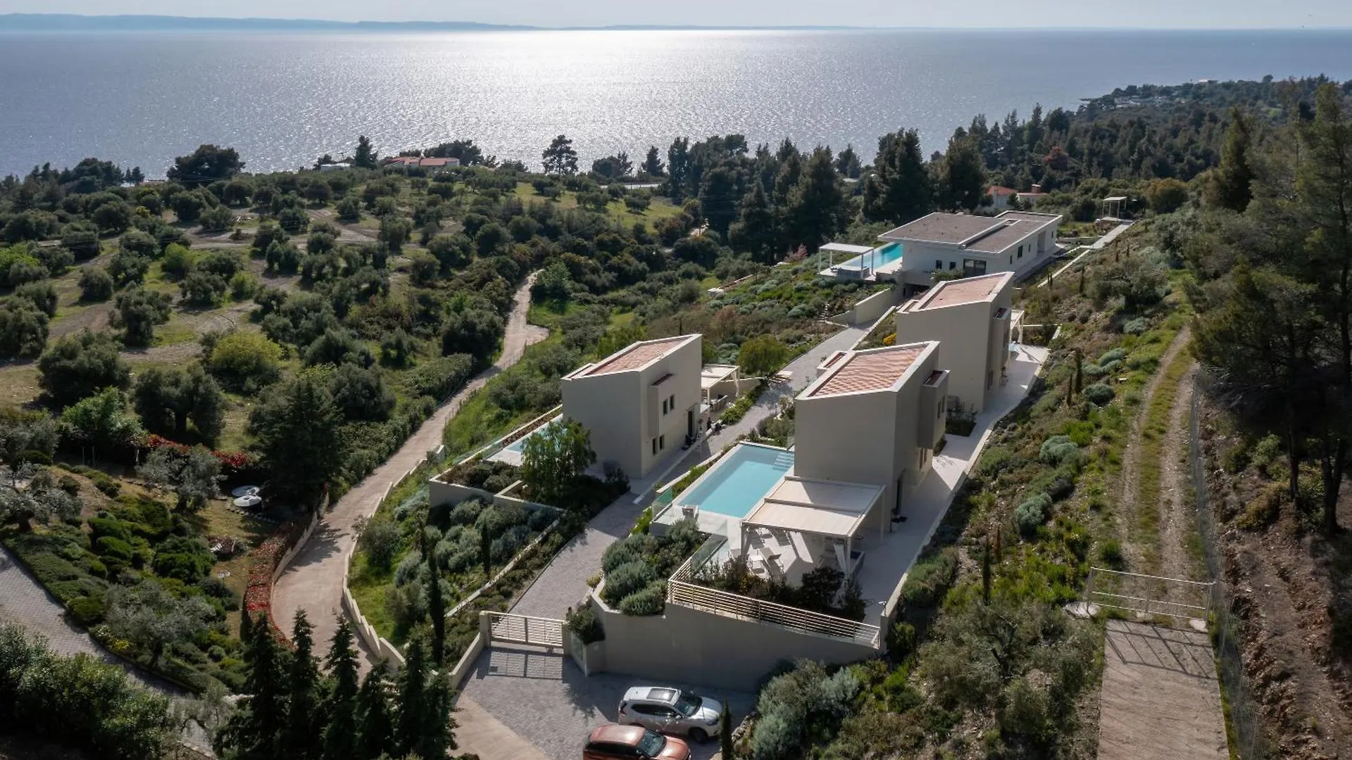 Olive Grove Suites - Villas With Private Pool And Garden Νικήτη