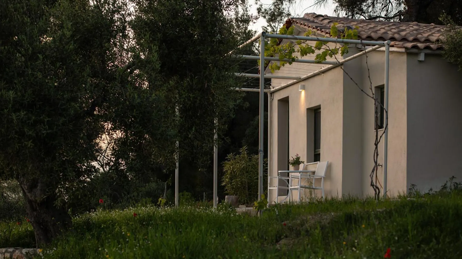 Olive Grove Suites - Villas With Private Pool And Garden Νικήτη Ελλάδα